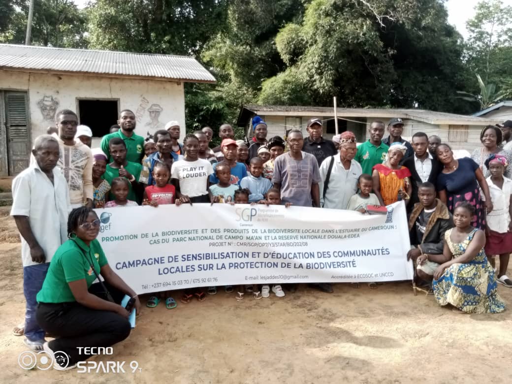 Projets développement